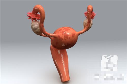 子宫长息肉手术费多少